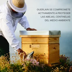 Discount ABEILLE ROYALE ACEITE EN BÁLSAMO DE JUVENTUD REPARACIÓN INTENSA 80ML Miel|Luminosidad