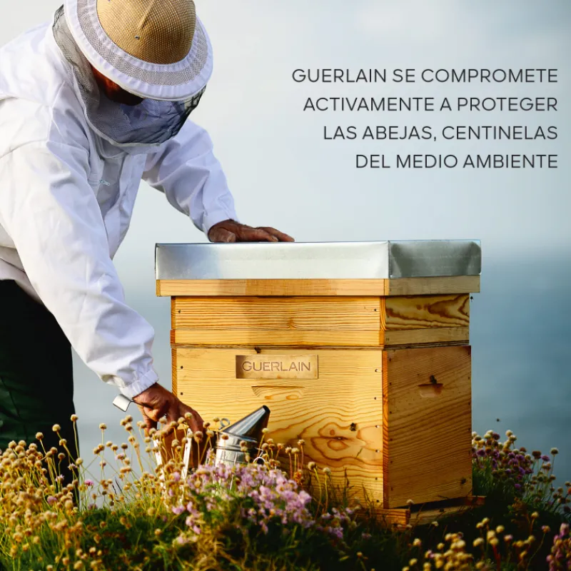 Discount ABEILLE ROYALE ACEITE EN BÁLSAMO DE JUVENTUD REPARACIÓN INTENSA 80ML Miel|Luminosidad