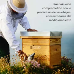 Best Abeille Royale Honey Treatment Crema de Noche Miel|Arrugas