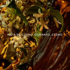 Discount Absolus Allegoria Cuir Intense Eau de Parfum Mujer Perfumes Árabes Hombre|Perfumes Árabes Mujer