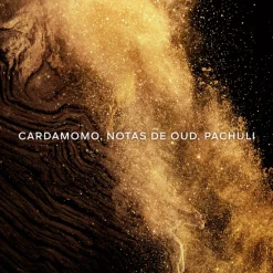 New Absolus Allegoria Epices Exquises Eau de Parfum Mujer Perfumes Árabes Hombre|Perfumes Árabes Mujer