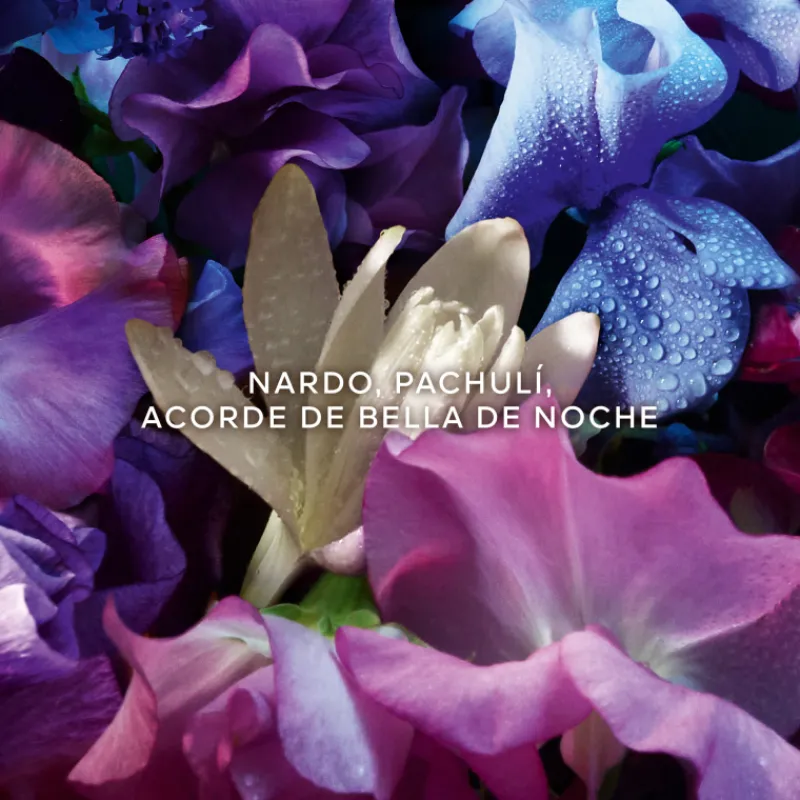 Hot Absolus Allegoria Florabloom Eau de Parfum Mujer Eau De Parfum Mujer