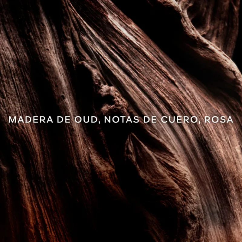 Outlet Absolus Allegoria Oud Essentiel Eau de Parfum Mujer Perfumes Árabes Hombre|Perfumes Árabes Mujer