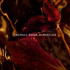 New Absolus Allegoria Patchouli Ardent Eau de Parfum Mujer Perfumes Árabes Hombre|Perfumes Árabes Mujer