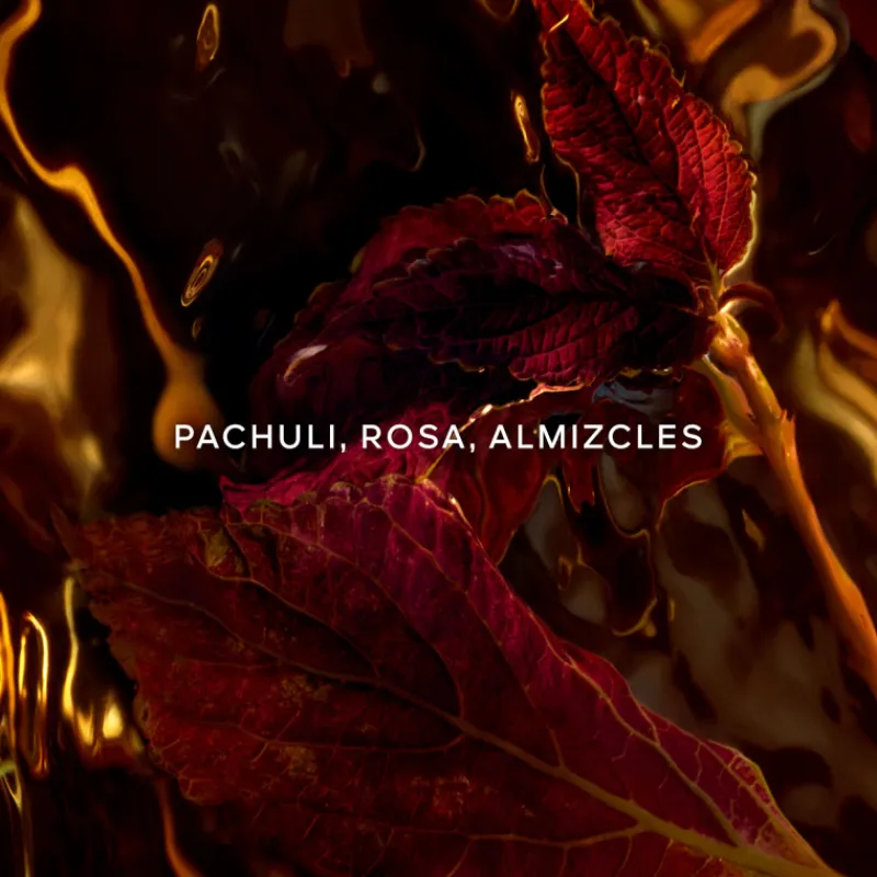 New Absolus Allegoria Patchouli Ardent Eau de Parfum Mujer Perfumes Árabes Hombre|Perfumes Árabes Mujer