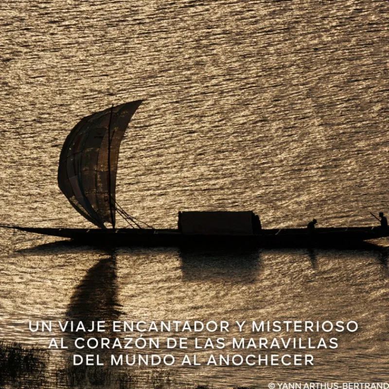 New Absolus Allegoria Patchouli Ardent Eau de Parfum Mujer Perfumes Árabes Hombre|Perfumes Árabes Mujer