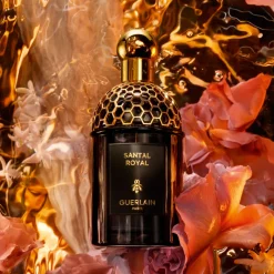 New Absolus Allegoria Santal Royal Eau de Parfum Mujer Perfumes Árabes Hombre|Perfumes Árabes Mujer