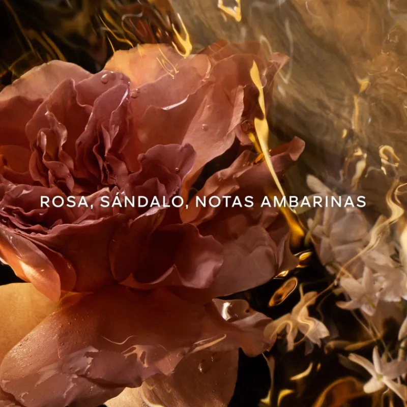 New Absolus Allegoria Santal Royal Eau de Parfum Mujer Perfumes Árabes Hombre|Perfumes Árabes Mujer