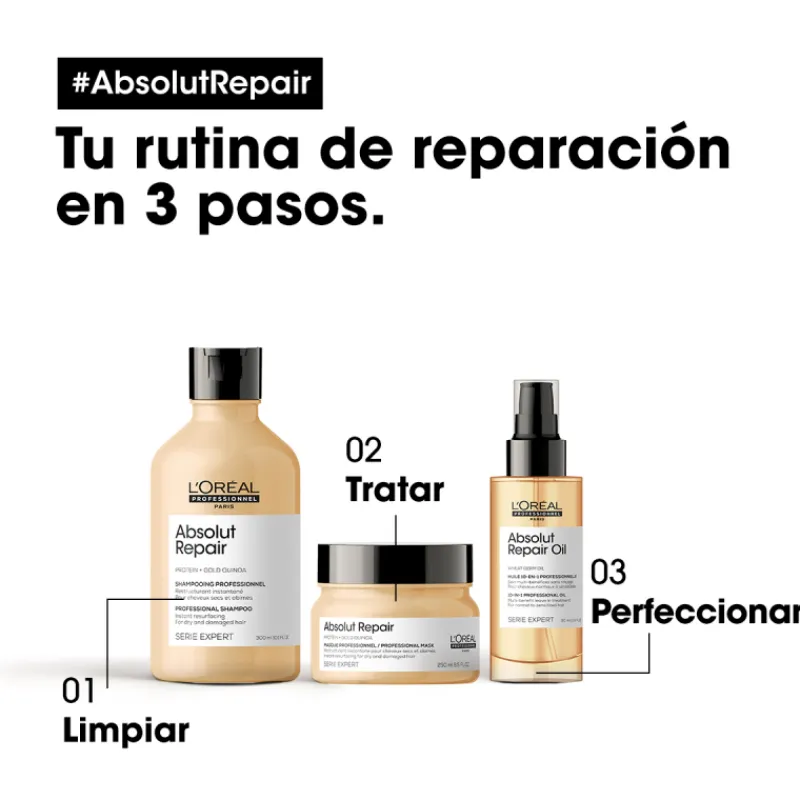 Discount ABSOLUT REPAIR GOLD CHAMPÚ 300ML Shampoo