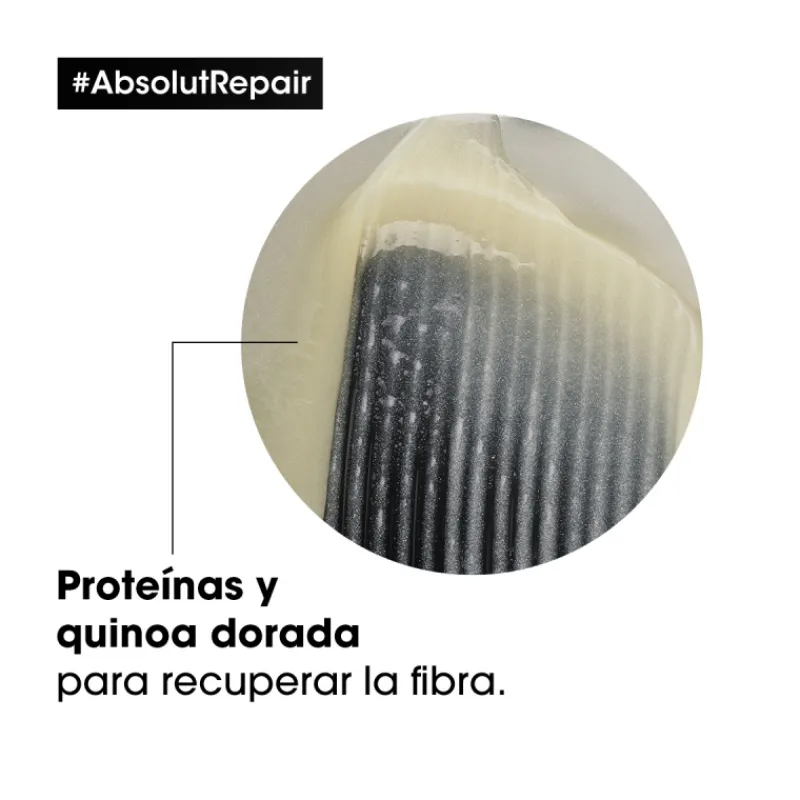 Online ABSOLUT REPAIR GOLD MASCARILLA 250ML Shampoo