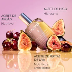 Discount ACEITE DE TRATAMIENTO SUAVIDAD Y LUMINOSIDAD DE HIGO Corporal