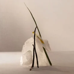 Online TERRACOTA MUSK EDP VAPORIZADOR Mujer Eau De Parfum Mujer