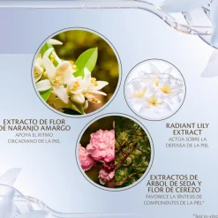 Outlet Advanced Intensive Night Cream Manchas|Tratamiento