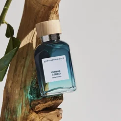 Hot AGUA FRESCA CITRUS CEDRO EAU DE TOILETTE Hombre Eau De Toilette Hombre|Eau De Toilette