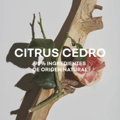 Hot AGUA FRESCA CITRUS CEDRO EAU DE TOILETTE Hombre Eau De Toilette Hombre|Eau De Toilette
