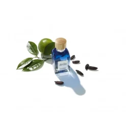 Discount AGUA FRESCA LIMA TONKA EDT VAPORIZADOR Hombre Eau De Toilette Hombre|Eau De Toilette