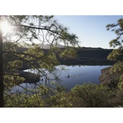 Discount AGUA FRESCA LIMA TONKA EDT VAPORIZADOR Hombre Eau De Toilette Hombre|Eau De Toilette