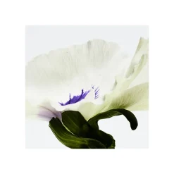 Best AIRE ANTHESIS EAU DE PARFUM Mujer Eau De Parfum Mujer