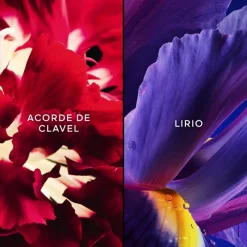 Best APRÈS D'ONDÉE EDT 75ML Mujer Eau De Toilette Mujer