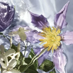 Clearance AQUA ALLEGORIA FLORA SALVAGGIA EAU DE TOILETTE Mujer Eau De Toilette Mujer