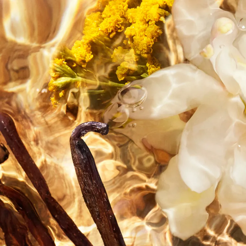 Discount AQUA ALLEGORIA FORTE BOSCA VANILLA EAU DE PARFUM Mujer Eau De Parfum Mujer