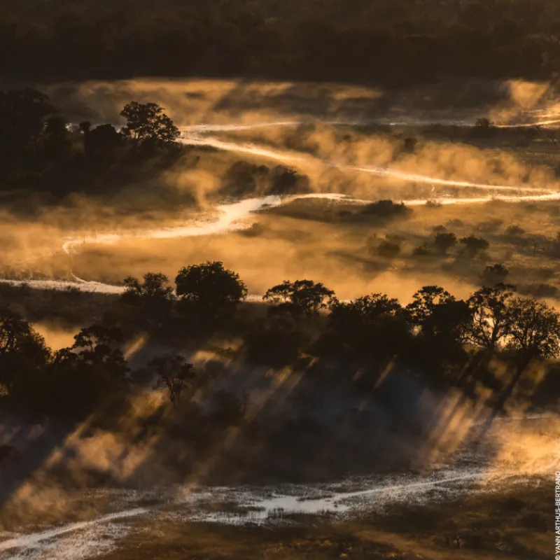 Discount AQUA ALLEGORIA FORTE BOSCA VANILLA EAU DE PARFUM Mujer Eau De Parfum Mujer