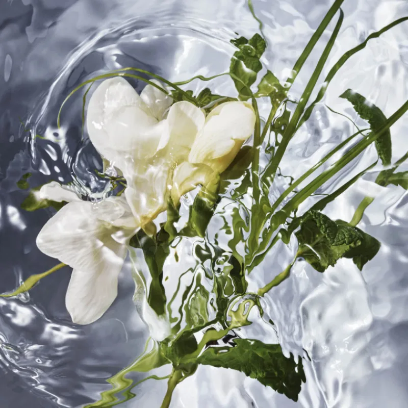 Clearance AQUA ALLEGORIA HERBA FRESCA EAU DE TOILETTE Mujer Eau De Toilette Mujer