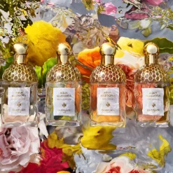 Clearance AQUA ALLEGORIA HERBA FRESCA EAU DE TOILETTE Mujer Eau De Toilette Mujer