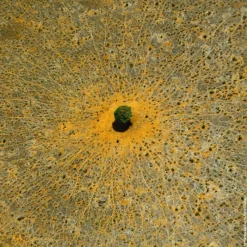 Online AQUA ALLEGORIA MANDARINE BASILIC EAU DE TOILETTE Mujer Eau De Toilette Mujer