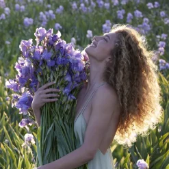 Online AQUA ALLEGORIA MANDARINE BASILIC EAU DE TOILETTE Mujer Eau De Toilette Mujer