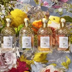 Online AQUA ALLEGORIA MANDARINE BASILIC EAU DE TOILETTE Mujer Eau De Toilette Mujer