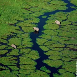 Online AQUA ALLEGORIA NEROLIA VETIVER EAU DE TOILETTE Mujer Eau De Toilette Mujer