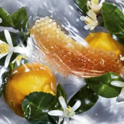 AQUA ALLEGORIA NETTARE DI SOLE EAU DE TOILETTE Mujer Eau De Toilette Mujer