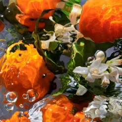 Online AQUA ALLEGORIA ORANGE SOLEIA EAU DE TOILETTE Mujer Eau De Toilette Mujer