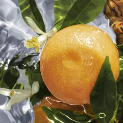 Outlet AQUA ALLEGORIA PAMPLELUNE EAU DE TOILETTE Mujer Eau De Toilette Mujer