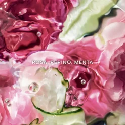 New Aqua Allegoria Rosa Verde Crema de Manos Mujer Tratamiento Corporal