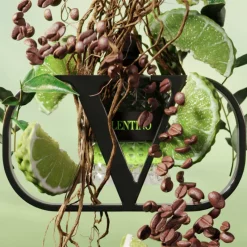 New BORN IN ROMA UOMO GREEN STRAVAGANZA EAU DE TOILETTE Hombre Eau De Toilette Hombre|Eau De Toilette