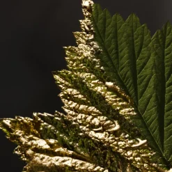 Discount BOSS Bottled Absolu Parfum Intense para Hombre Hombre Eau De Parfum Hombre|Eau De Parfum