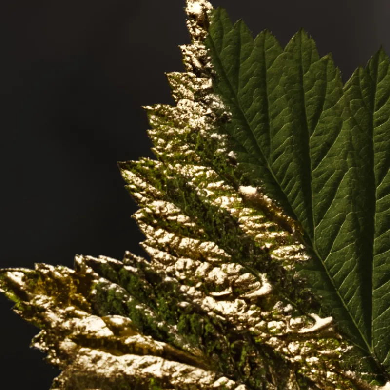 Discount BOSS Bottled Absolu Parfum Intense para Hombre Hombre Eau De Parfum Hombre|Eau De Parfum