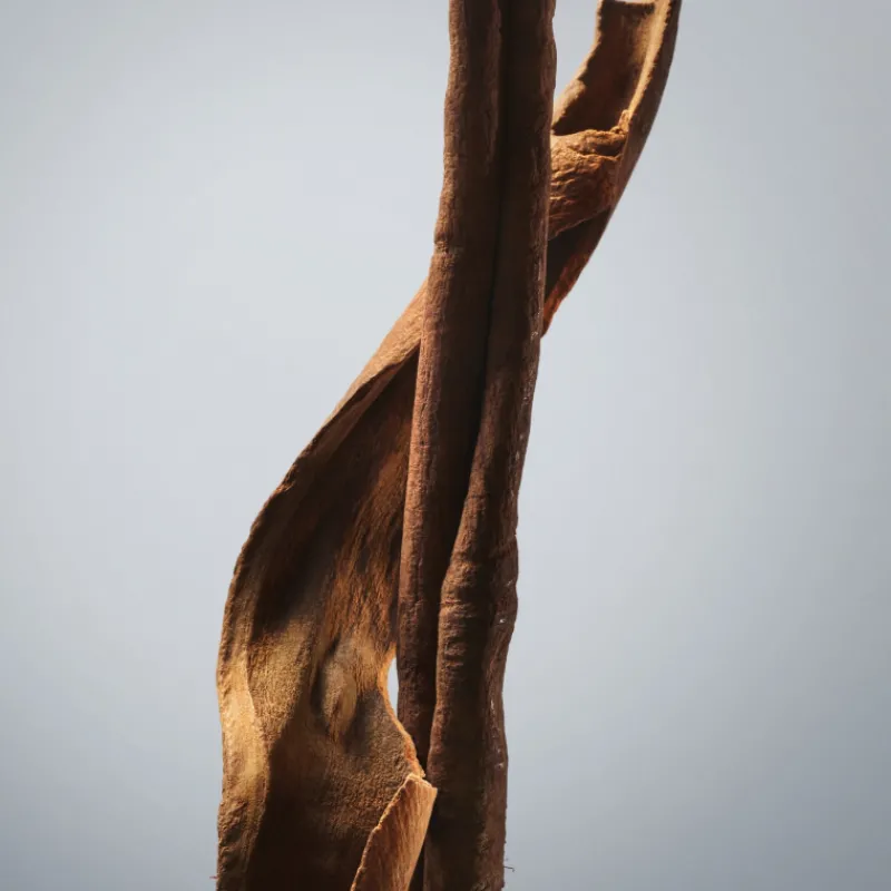 Sale BOSS BOTTLED EAU DE TOILETTE VAPORIZADOR Hombre Eau De Toilette Hombre|Eau De Toilette