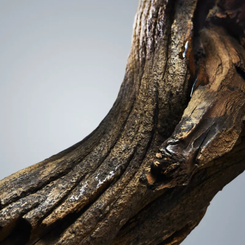 Sale BOSS BOTTLED EAU DE TOILETTE VAPORIZADOR Hombre Eau De Toilette Hombre|Eau De Toilette