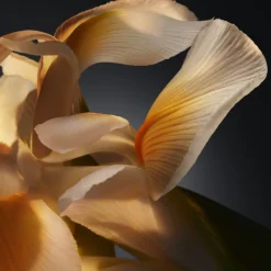 BOSS BOTTLED PARFUM EAU DE PARFUM VAPORIZADOR Hombre Eau De Parfum Hombre|Eau De Parfum