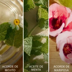 BRISA CUBANA EAU DE TOILETTE EDICIÓN LIMITADA Mujer Eau De Toilette Mujer