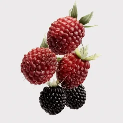 Online HER EAU DE PARFUM Mujer Eau De Parfum Mujer