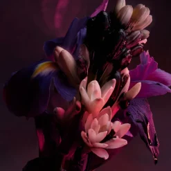 Online Man In Black Parfum Hombre Eau De Parfum Hombre|Eau De Parfum