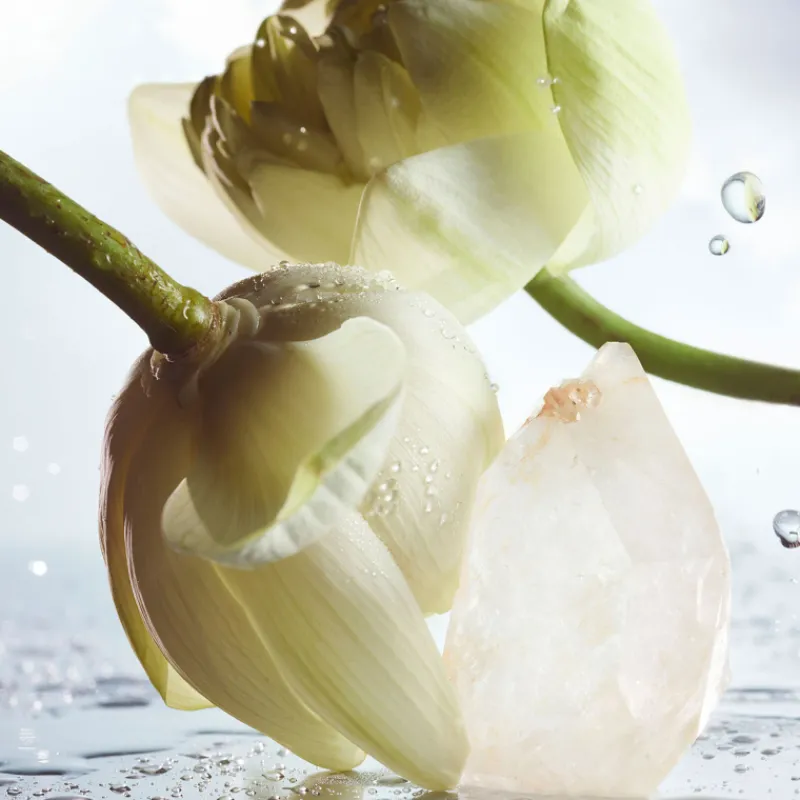 Outlet Man Rain Essence Eau de Parfum Hombre Eau De Parfum Hombre|Eau De Parfum