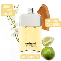 Clearance HOMME EAU DE TOILETTE 100ML Hombre Eau De Toilette Hombre|Eau De Toilette