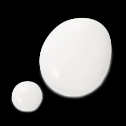 Cellular Performance Emulsion I Karité|Miscelas