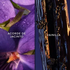 Hot CHAMADE EDT 75ML Mujer Eau De Toilette Mujer