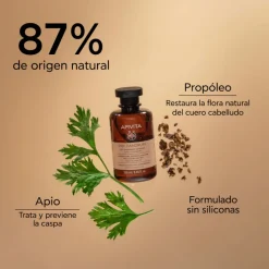 Hot Champú Anticaspa Seca Tratamientos Capilares